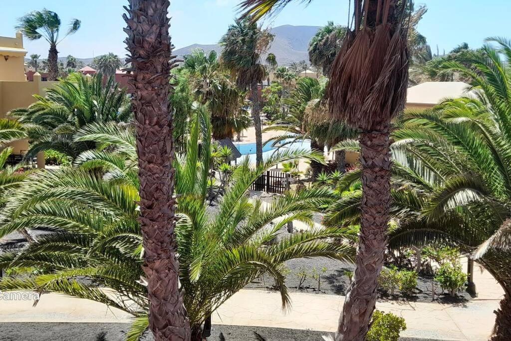 Apartment Cumbre Vieja Fuerteventura Corralejo Luaran gambar