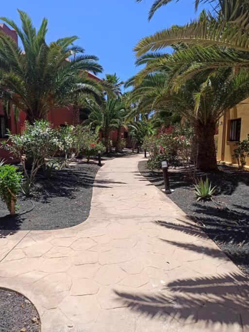 Apartment Cumbre Vieja Fuerteventura Corralejo Luaran gambar