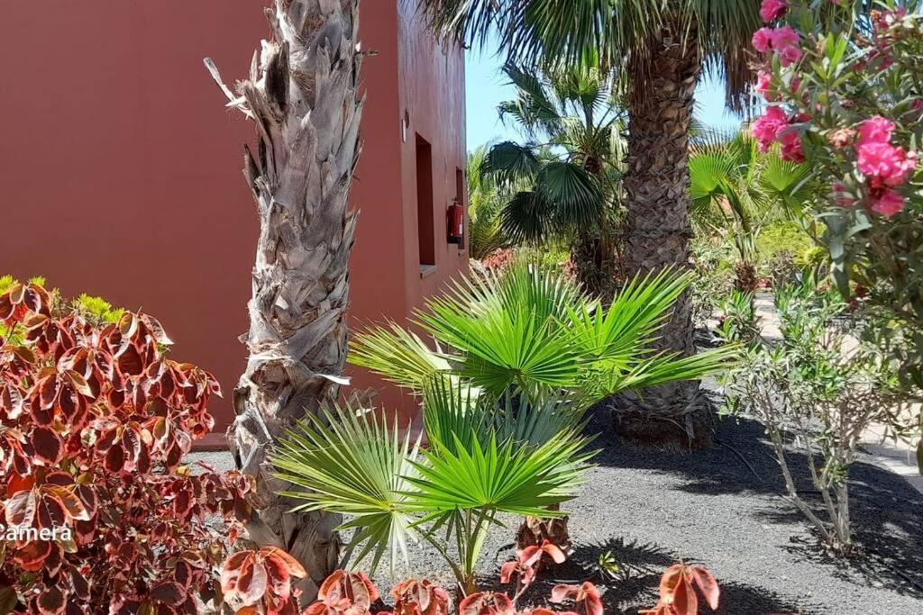 Apartment Cumbre Vieja Fuerteventura Corralejo Luaran gambar